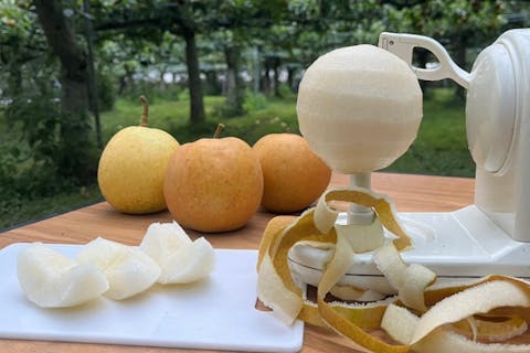 【滋賀・守山・梨狩り】2025年　もぎたて梨が食べ放題＆木陰ピクニックプラン  ＼食事持ち込みOK＆椅子＆テーブルをご用意済／