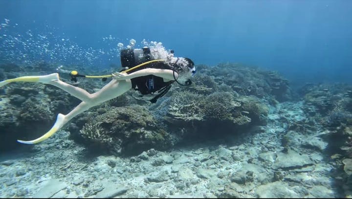 マリーナエイト