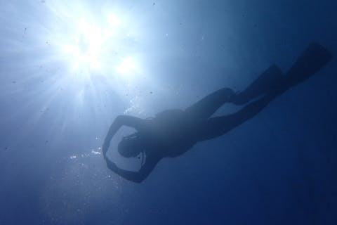 【和歌山・日高・体験ダイビング】絶景も楽しめる！和歌山の海で体験ダイビング