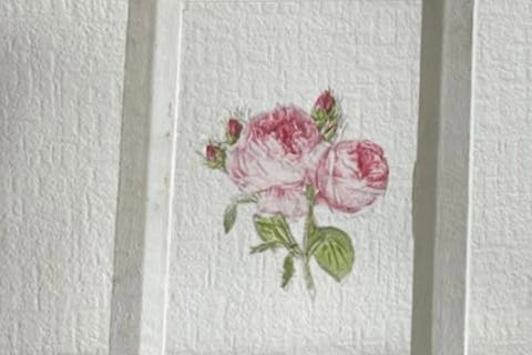 【宮城・仙台・フロスティングフラワー】花×描画の新しいアート！SDG'sなフロスティングフラワー1個