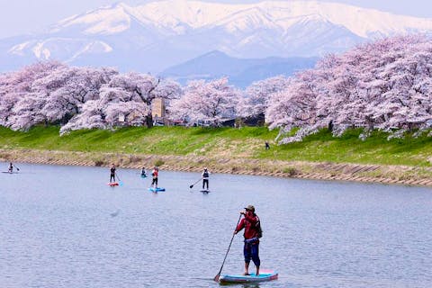 【宮城・蔵王・SUP】一目千本桜を眺める！お花見リバーSUPプラン