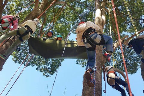 ツリークライミング体験 木登り の比較 予約 アソビュー