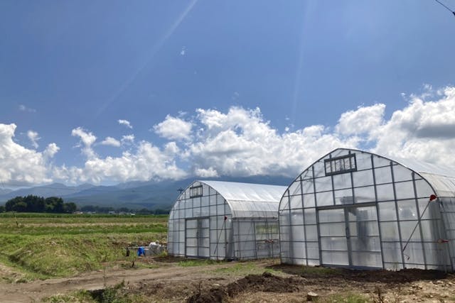 八ヶ岳エナジーファーム　いちご畑としいたけの森