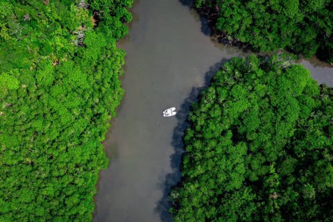 【石垣島・大人気スポット】熱帯雨林の大自然を颯爽　不思議な森マングローブをカヤック体験！上陸探索付き！！当日予約OK！