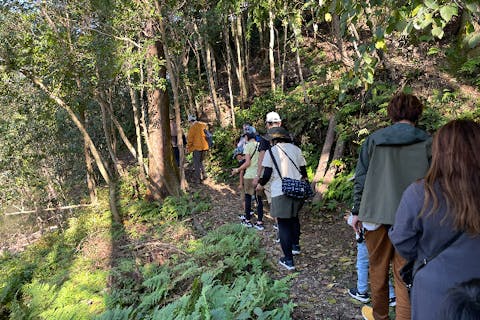 【三重・多気・トレッキング】森で癒される大人お気軽トレッキング