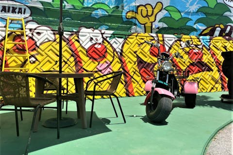 【沖縄・宮古島・乗り物レンタル】普通免許で運転できる！EVトライク2時間レンタル