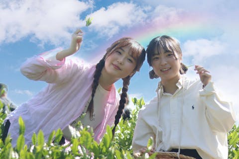 【京都・和束町・ 茶摘み】「茶源郷」和束で茶摘み。新鮮なお茶の香りを堪能しよう