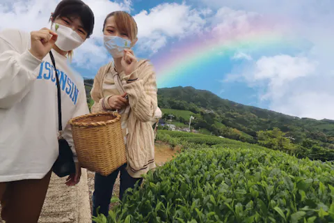 【京都・和束町・茶摘み】お茶の名産地でお茶摘み＆茶葉料理作りを体験！石寺セット