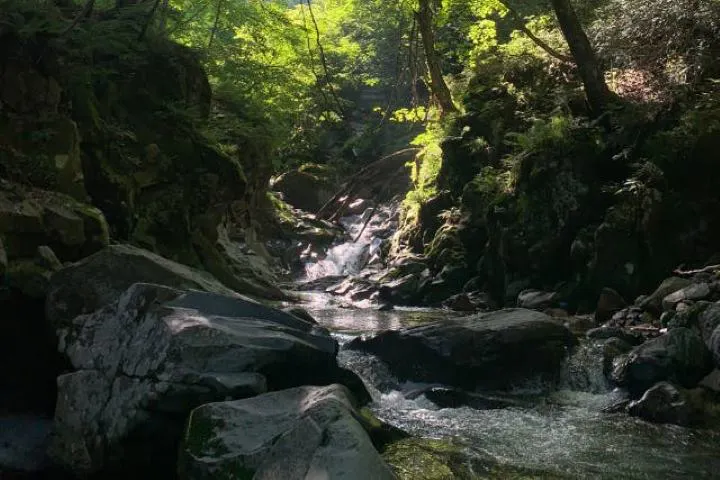 HAKUBA ADVENTURE CENTER