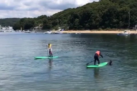 【広島県尾道市・SUP】ゆっくりSUP三昧！自由気ままなSUPレンタル1Day