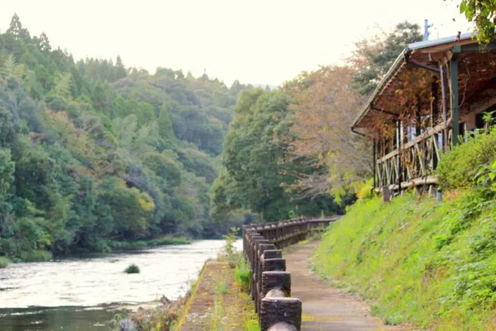 すべての行き先 ぶどう狩り いつでも 1人の検索結果 全3件 アソビュー