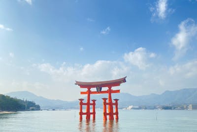 広島県・広島市・観光タクシー】安芸国「宮島」を満喫！車両ごと島内へ