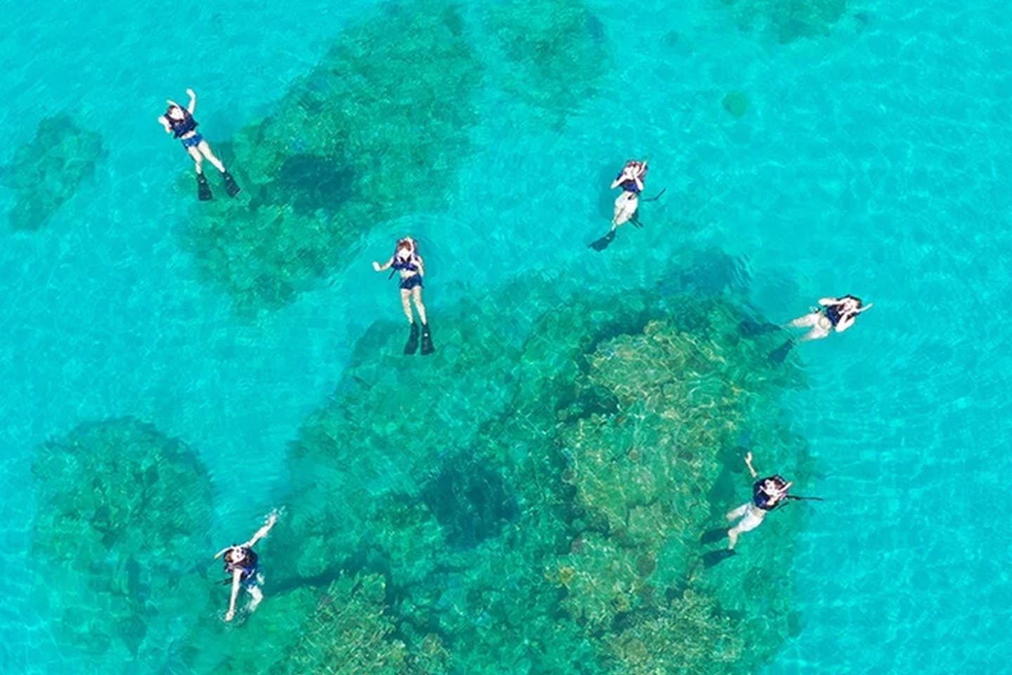 【鹿児島・奄美大島・シュノーケリング】奄美の美しい海でシュノーケリング1日体験