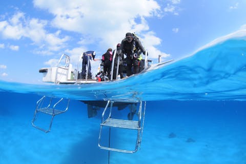 【沖縄・石垣島・ファンダイビング】レンタル器材無料！絶景ポイント充実！石垣の海で2ボートダイビング