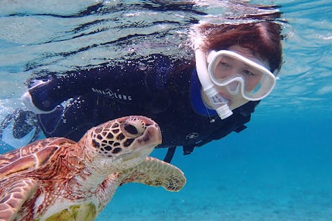 【沖縄・宮古島・シュノーケリング】ウミガメ遭遇率100％更新中！カメ＆ニモ2ビーチ満喫シューケリング