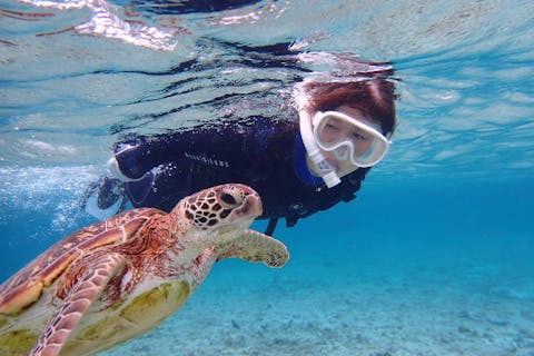 【沖縄・宮古島・シュノーケリング】14日前早割り『ウミガメ＆ニモ2ビーチシュノーケリング』