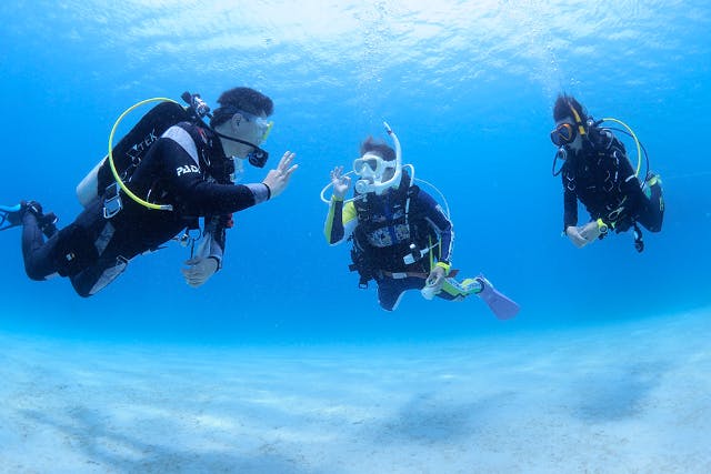 【静岡・西伊豆・沼津・ライセンス取得】2日でステップアップ！PADI・AOWコース
