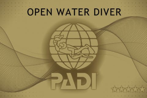 【西伊豆オープンウォーターライセンス取得】のんびりゆったり3日間プラン！PADIゴールドカード★PADI優秀賞受賞店