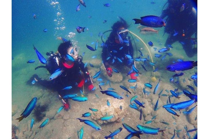 マリンステーション堂ヶ島