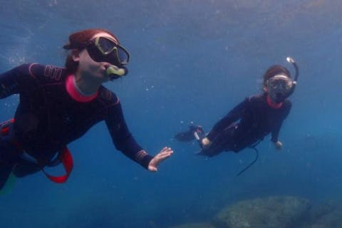 【静岡・西伊豆・シュノーケリング】海満喫！天窓洞クルーズ＆無人島スノーケル