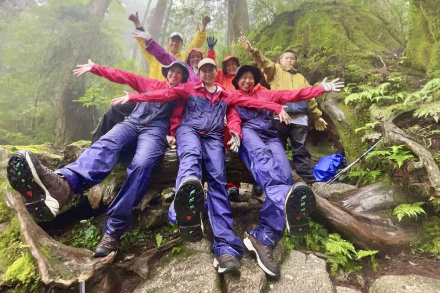 【鹿児島・屋久島・ハイキング】初心者も楽しめる人気プラン！白谷雲水峡ハイキング