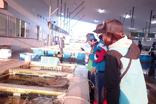 【熊本・天草・魚市場】多種多様な魚介が集まる魚市場はまるで水族館！天草魚市場探検