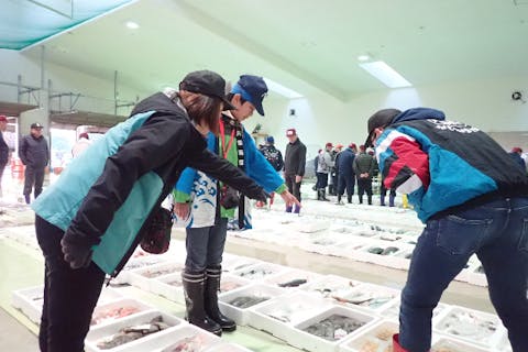 熊本にある漁業 魚市場 一覧 観光 おでかけの予約は アソビュー