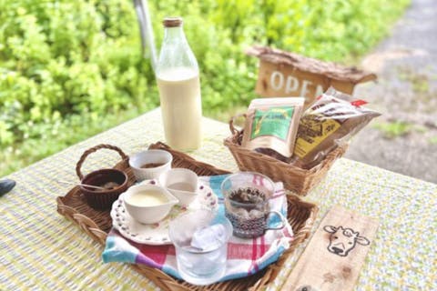 【広島・庄原・牧場体験】チーズ作り＆玄米珈琲カフェオレ付き！牛の真横のお散歩コース