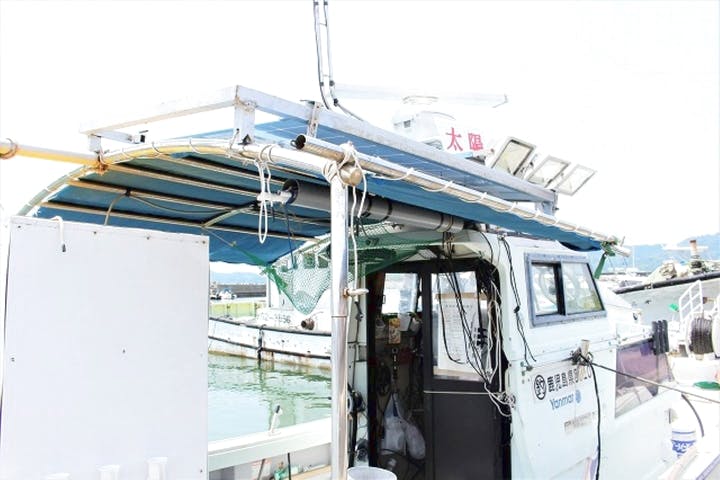 フィッシング太陽