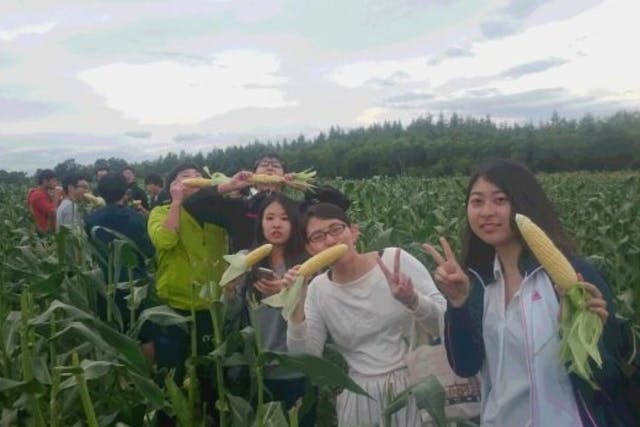 【北海道・帯広・農業体験】嬉しいランチ＆お土産付き！スイートコーン収穫体験