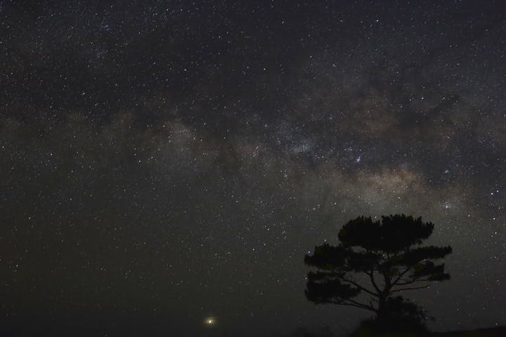 （株）美ら星アイランド