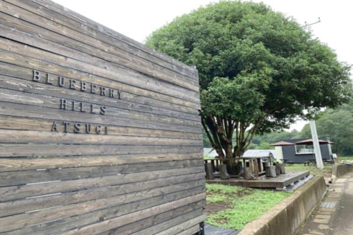 Blueberry HILLS（ブルーベリーヒルズ） あつぎ