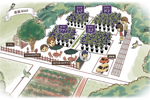 【神奈川・厚木・ブルーベリー狩り】《都内から車で60分》関東最大級80品種の食べくらべ★完全予約制★時間無制限★食べ放題★自然の中でゆったり★ファミリー・カップルにおすすめ♪