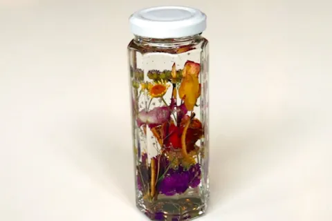 福島市の遊び体験 アソビュー 休日の便利でお得な遊び予約サイト