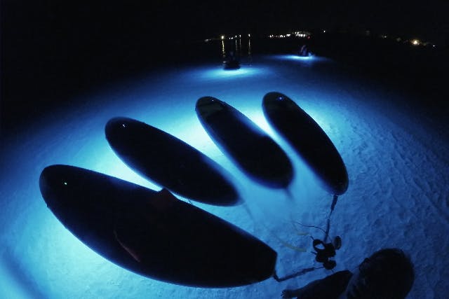 【沖縄・国頭村・SUP】夜の海をSUPで探検！星空の下で楽しむナイトSUP