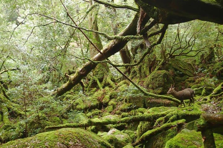 AND（エイ・エヌ・ディー）