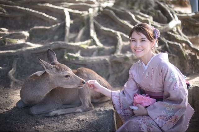 【奈良県・奈良市・着物レンタル】訪問着を着て奈良観光を楽しもう！お出かけプラン
