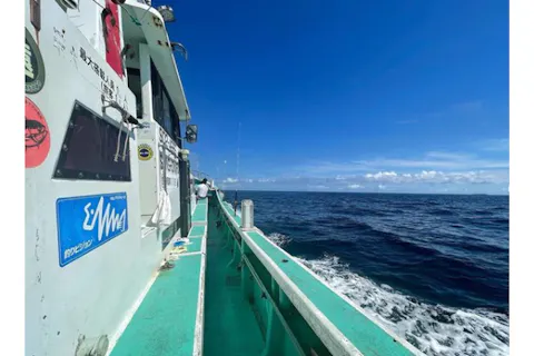 静岡海釣り 船釣り体験 料金比較 予約 アソビュー
