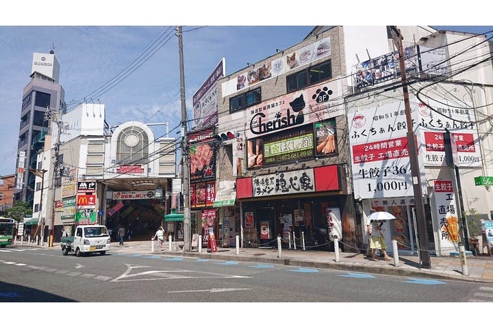 大阪 高槻 猫カフェ 高槻市駅より徒歩1分 お子様から大人気 写真撮影ok ドリンク飲み放題 保護猫カフェで遊ぼう 60分 アソビュー