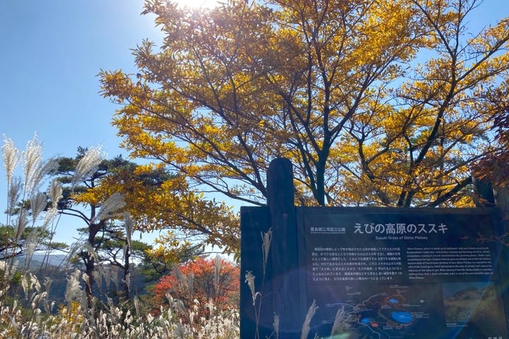 アウトドアステーションえびの