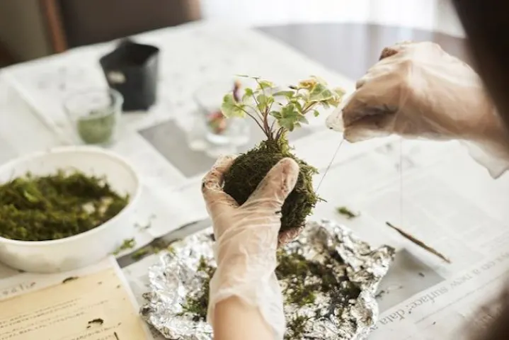 株式会社花工房 ネット予約ならアソビュー