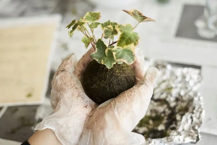 株式会社花工房 ネット予約ならアソビュー