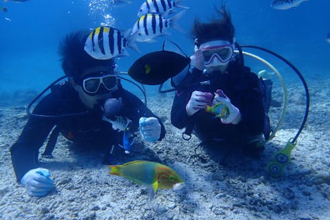 【沖縄・北部・体験ダイビング】初心者さんのはじめの一歩にオススメ！体験ダイビング