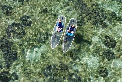 沖縄・本部・SUP】透明なボードで遊ぼう！クリアSUP体験たっぷり60分