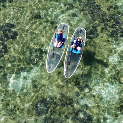 沖縄・本部・SUP】透明なボードで遊ぼう!クリアSUP体験たっぷり60分 沖縄・本部・SUP】透明なボードで遊ぼう!クリアSUP体験たっぷり60分