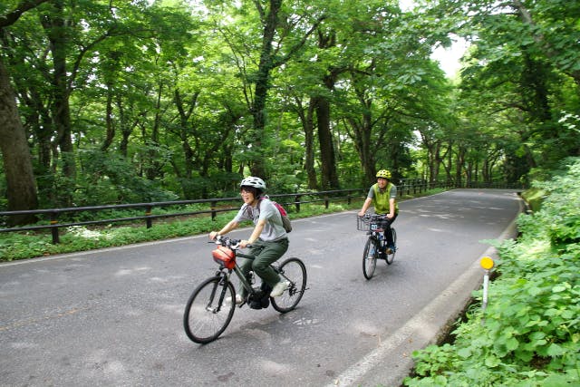 【鳥取・大山・サイクリング】電動アシスト自転車で巡る！大山の自然を感じながら楽ちんサイクリング