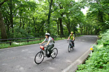 鳥取・大山・サイクリング】電動アシスト自転車で巡る！大山の自然を 