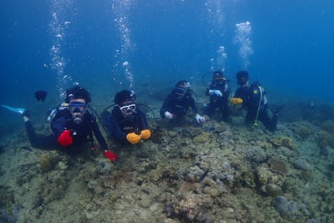 【沖縄・青の洞窟・体験ダイビング】初心者OK！沖縄で楽しむ体験ダイビング