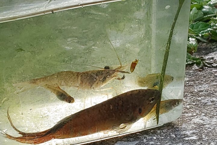 okinawa.nature.ashibi堂（オキナワネイチャーアシビドウ）