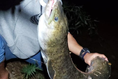 １組完全貸し切り】大冒険★珍獣・怪魚ハンター★半日ツアー※送迎あり